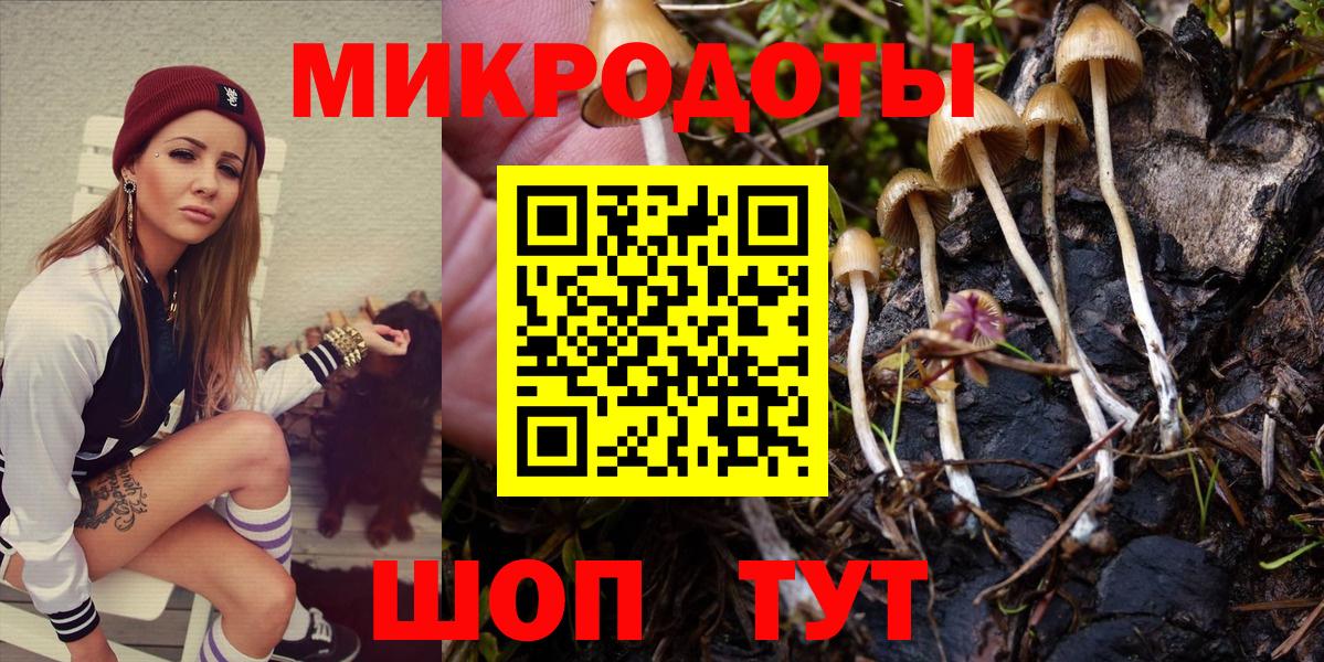 Псилоцибиновые грибы Psilocybine cubensis Нижний Новгород
