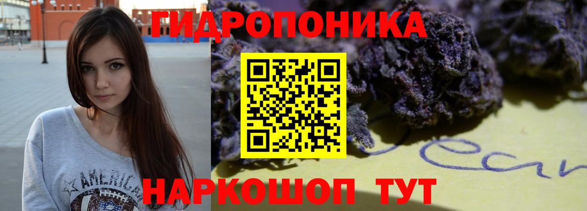 Шишки марихуана планчик  Вход с VPN  Марихуана план  МАРИХУАНА VHQ  Нижний Новгород 